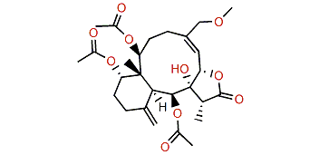 Fragilisinin F